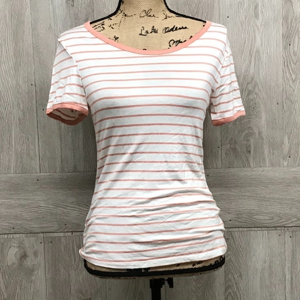 Round Neck Banded Striped Short Sleeve Mauve BB390